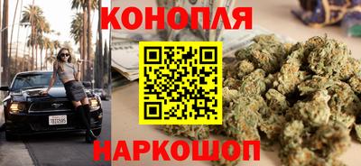 не бодяженный Гай