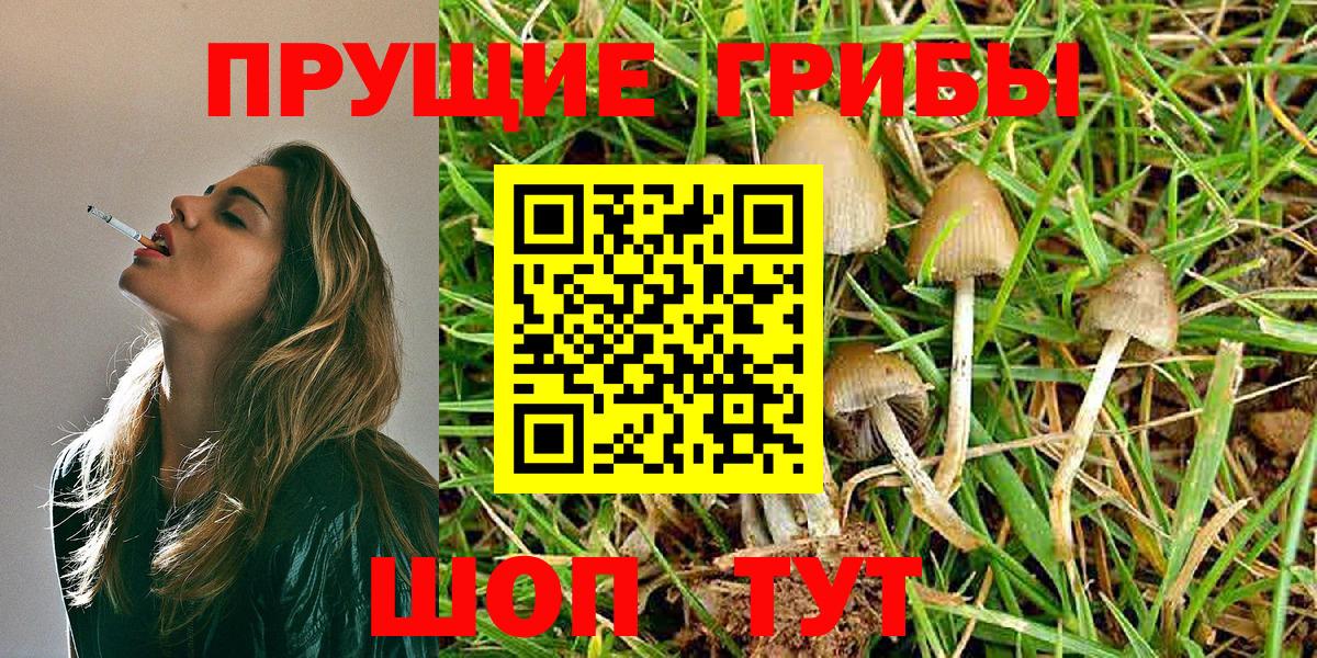 Ликино-Дулёво  Псилоцибиновые грибы ЛСД  Вход с VPN 