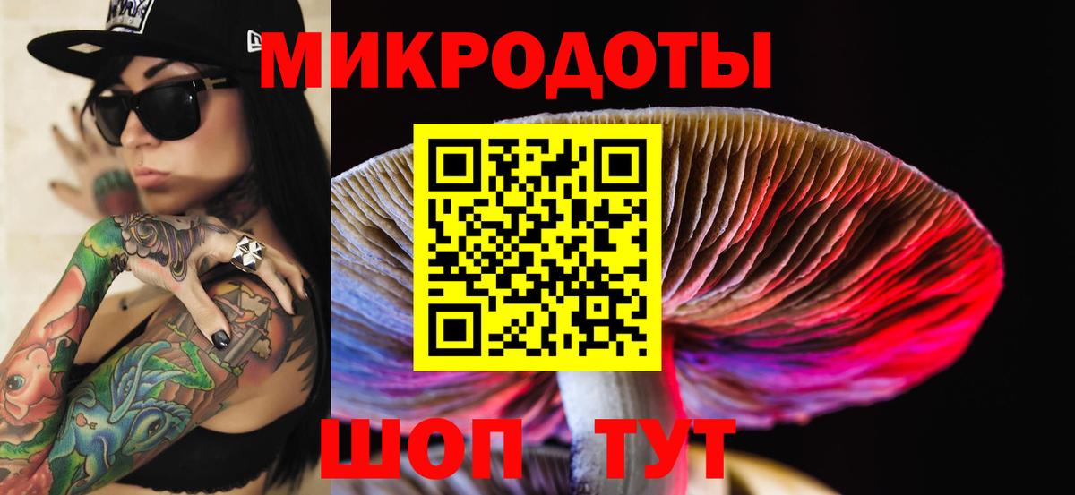 Псилоцибиновые грибы Psilocybe Ликино-Дулёво